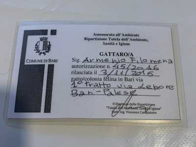 Rilevazione che, partita nel 2016, ha sinora portato �alla luce� 233 �famiglie� amministrate da 203 gattari. Il punto cruciale del regolamento � �l�ufficializzazione� dei volontari, a cui viene rilasciato un tesserino che d� il diritto e il dovere di occuparsi del sostentamento delle comunit�